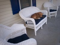 So comfortable EVERYONE wants to try them!