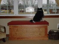 Window seat cushion