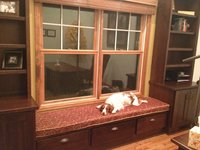 Dizzied Up Garnet Window Seat Cushion in Office