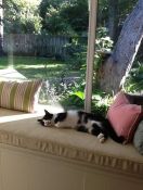 Microfiber Velvet Lemon Deluxe Window Seat Cushion