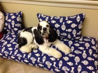 Maggie at The Lake House On Our New Bench Cushion