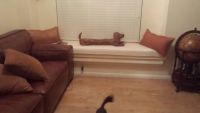 Custom Made Window Seat Cushion