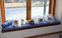 Window Seat Cushion for Cats