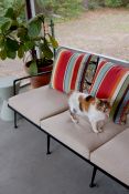 Patio Sofa Cushions in Sunbrella Spectrum Sand