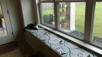 Custom Window Seat Cushion in Our New Dining Room