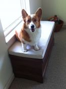 Arthur's New Sunbrella Window Bench Cushion