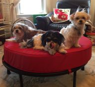 custom sunbrella red round bench ottoman cushion