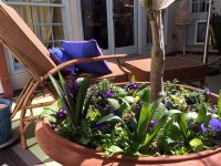 Sunbrella Cushions & Pillows For Patio Furniture