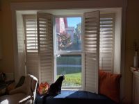 Window Seat that Even the Cat Can Appreciate