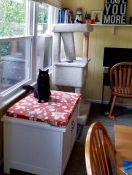 Kitty Loves His New Window Seat Cushion