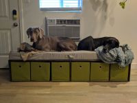 Custom Dog Bed