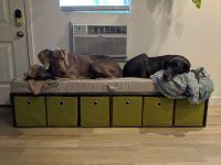 Custom Dog Bed