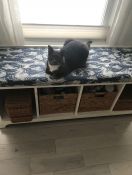 Bench Cushion