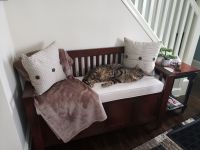 Timmy's Bench Cushion