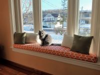 Bay Window Seat Beauty